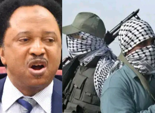 Plateau Massacre: The Scene Of A Baby Crying On The Back Of The Corpse Of Its Mother Is Horror- According to Shehu Sani