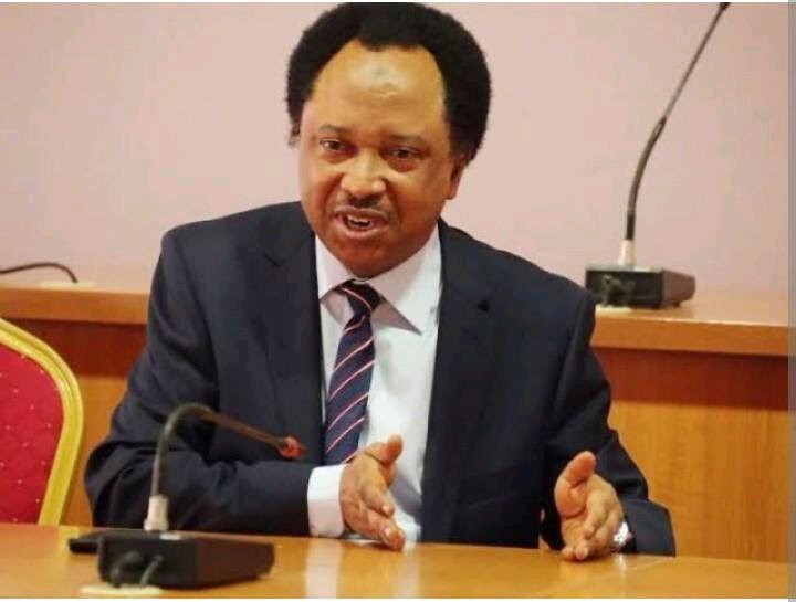 Reactions Following Shehu Sani Requesting Tinubu To Discourage Governors From Leaving Their States To Pay Homage To Him