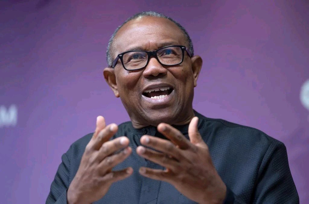 2024: Peter Obi says the Labour Party would adapt to its new role as the main opposition party in Nigeria.