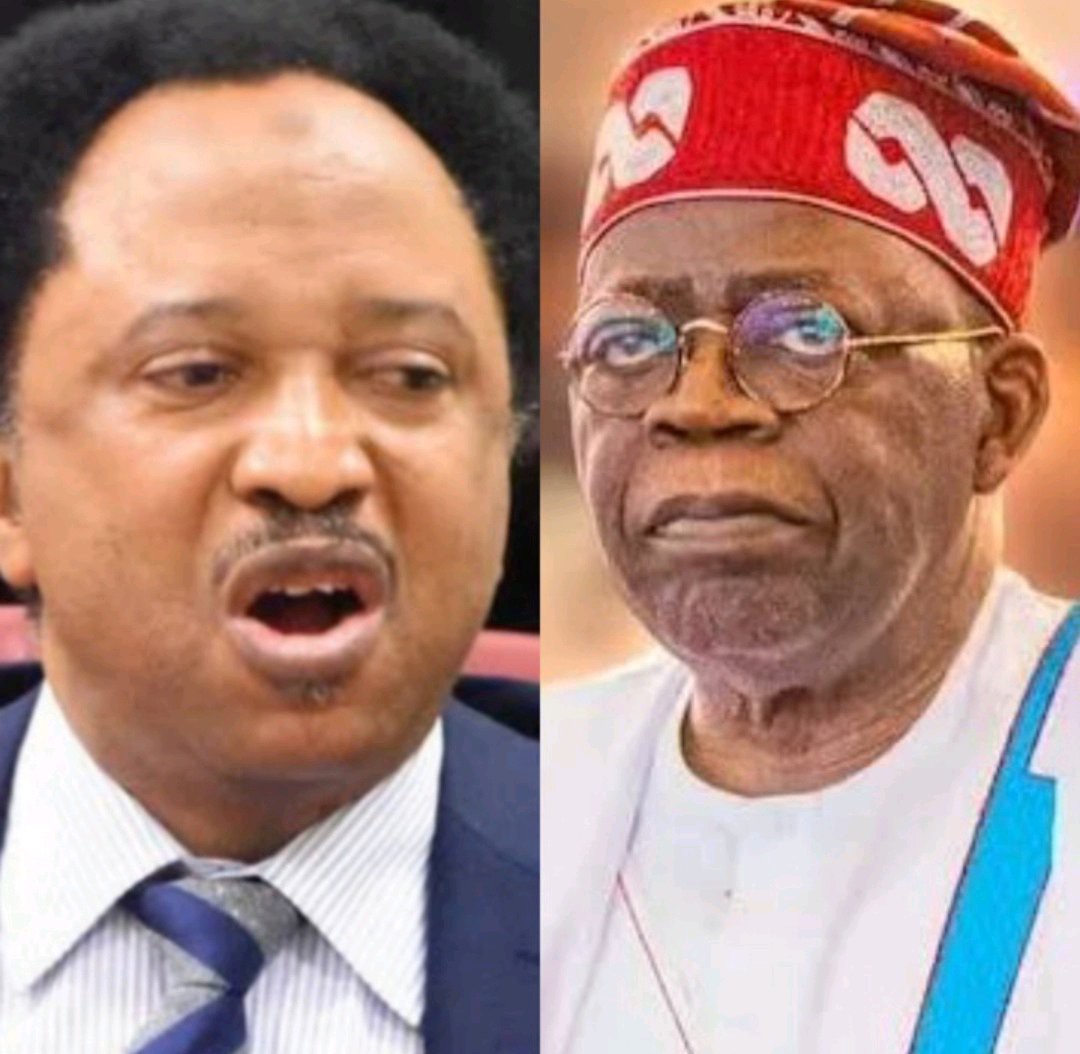 Tinubu's Speech Is Good & Encouraging, It Gives The Kind Of Hope Raised By Native Doctors-According to Shehu Sani
