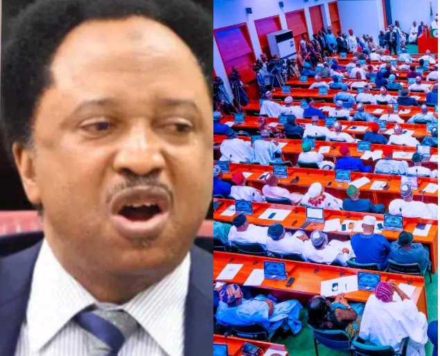 Reactions Following Sani Says NASS Passed Budget With Speed Of Light Without Time For Opposition To Digest