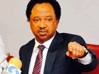 Those earning above 200k are P/Servants, 150k are C/Servants, anything below are just servants– According to Shehu Sani