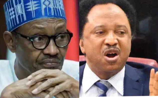 How A Committee Of Vultures Or Cackle Of Hyenas Gather On A Corpse Was How They Feasted On CBN- According to Sani