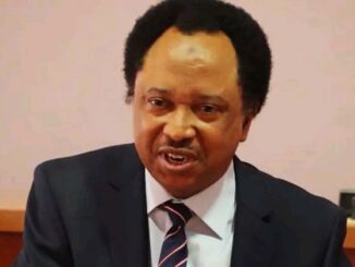 Senator Shehu Sani responds to the federal government's payment of the N12 billion Super Eagles debt