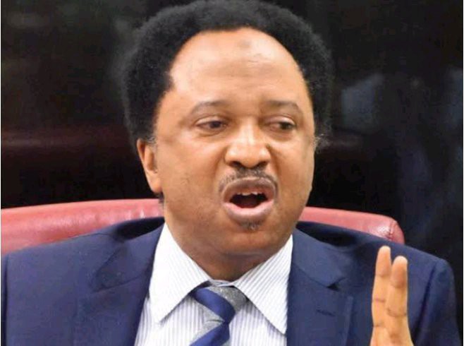 $285M In Account Of 6 Year Old, Some Are Born Thieves, Some Have Thieveness-According to Shehu Sani