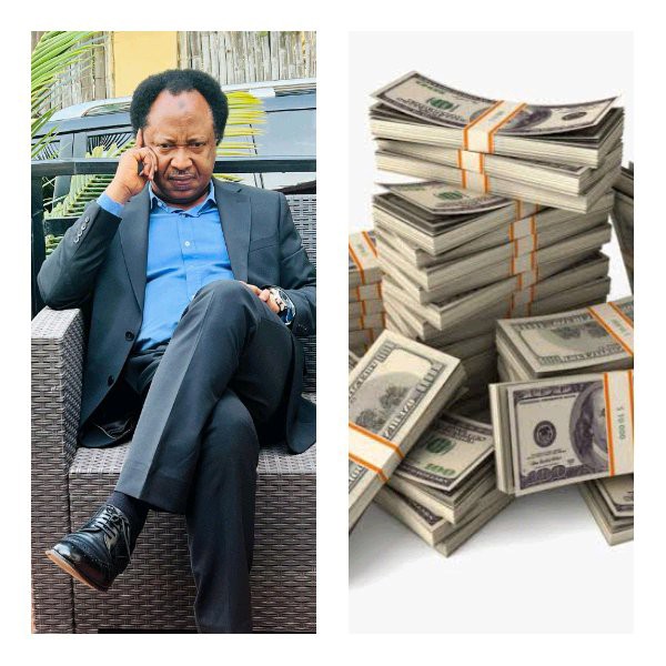 after $285 million was found in the account of a 6 year Old Senator Shehu Sani reacts 