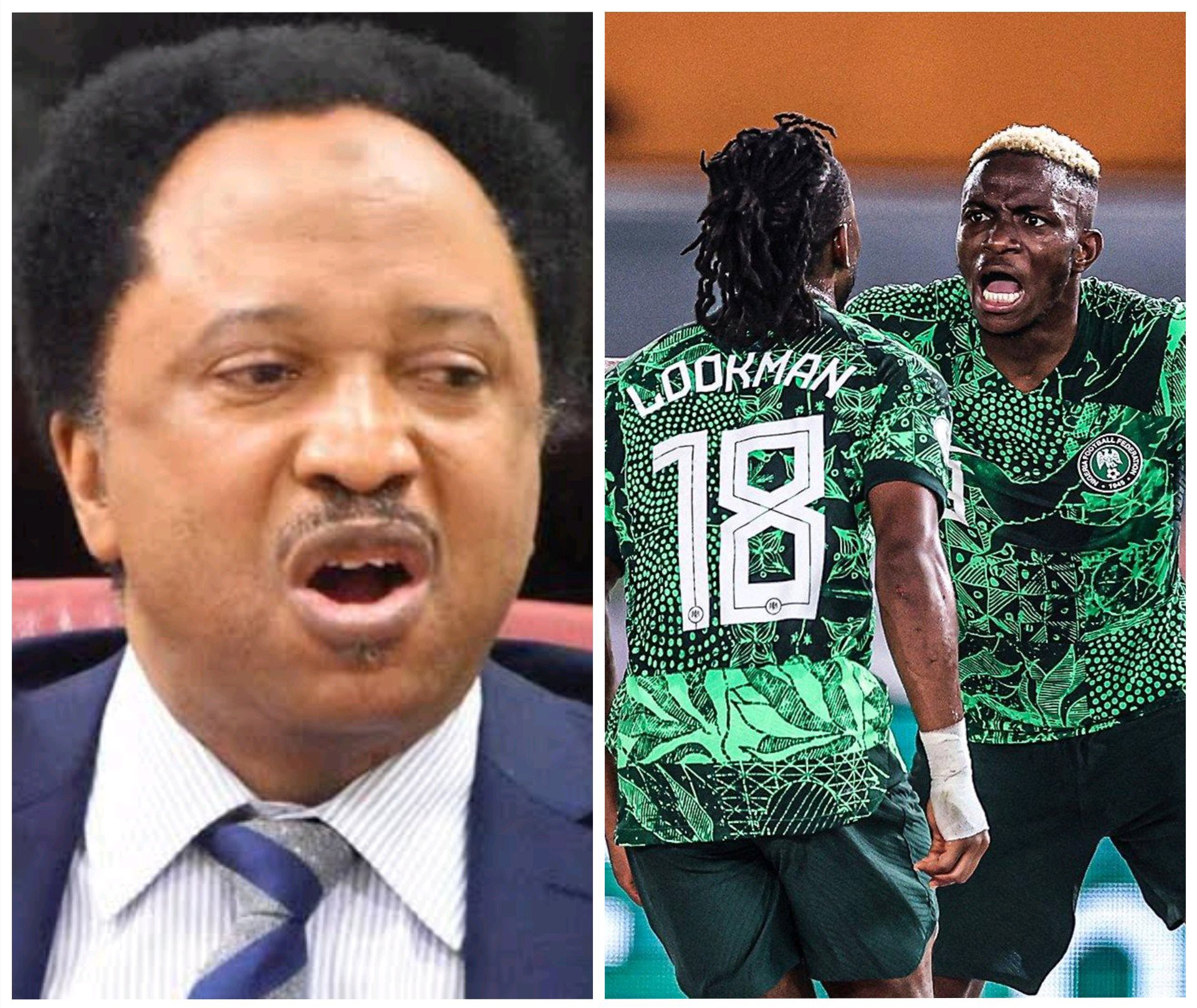 NGR Vs CAM: Cameroon Relied On History And Became Complacent, But They Were Defeated- According to Shehu Sani
