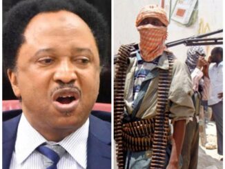 After NAF Launched Airstrike On Terrorists And Killed 30 Of Them In Kaduna State Shehu Sani Reacts