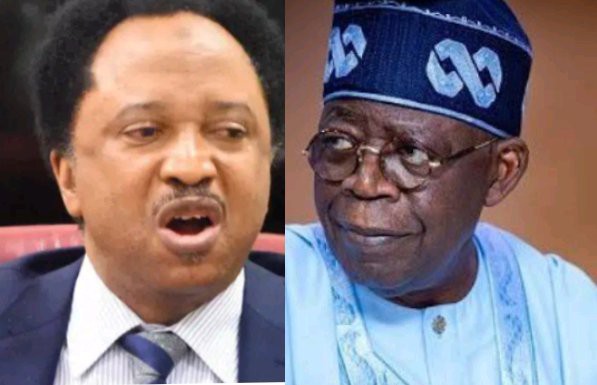 Report That FG Is Planning To Convert $30B Domiciliary Account To Naira Shehu Sani Reacted