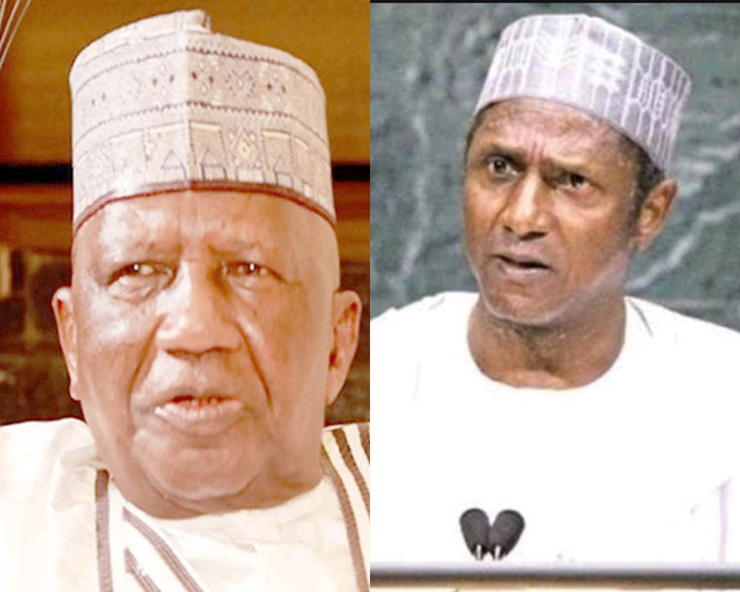 Yar'Adua said he wanted to give me something but did not know if I would accept it -According to Tafida