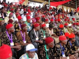 Hardship: Ohanaeze chieftain praises Igbos For Not Protesting Against Tinubu