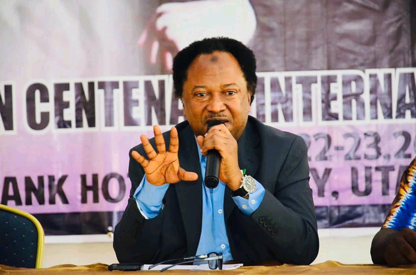 Mixed Reactions as Senator Shehu Sani Discloses the work some repentant Boko Haram terrorists are now doing