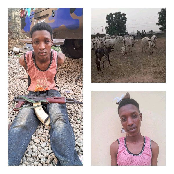 Mixed Reactions as FCT Police Command posts photo of an 'injured' bandit arrested with his cows