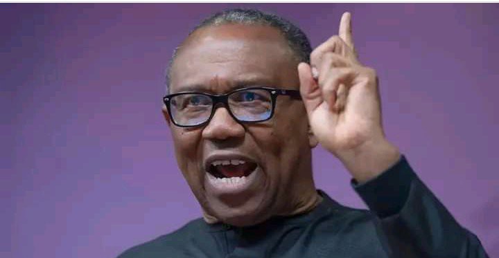 Mixed Reactions Following Peter Obi Comments Saying All Obidient Support Groups Must Account For The Money They Collected