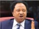 Naira Appreciation: Shehu Sani Discloses What A Lady Said When He Asked Her To Bring Down Price Of Her Goods