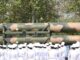 Images: Iran Displays Weapons During Tehran's National Army Day Parade