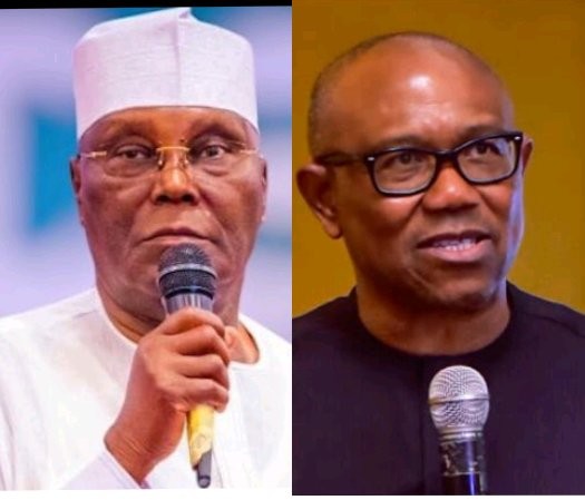 JUST-IN: Mixed Reactions After A Poll Was Conducted For Obidients And Atikulates To Ask If They'll Support A Merger