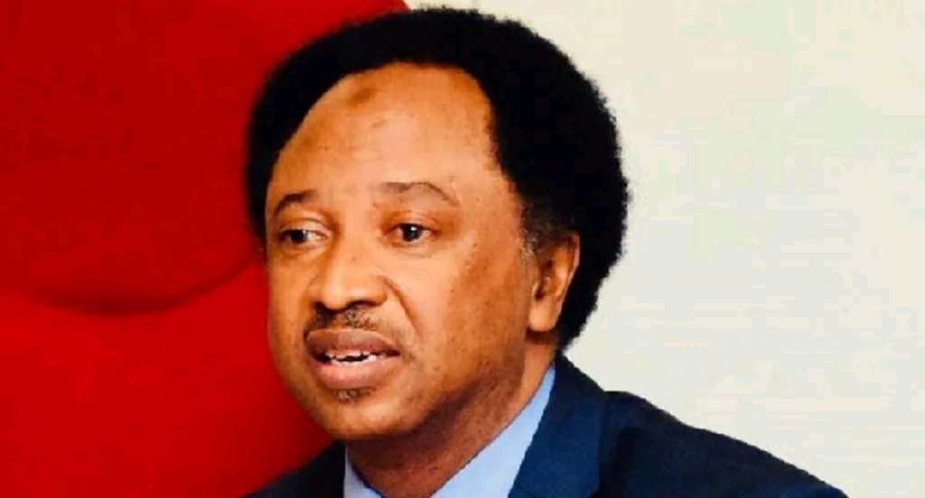 Shehu Sani: They Looted Our Natural Resources To Build Their Country, Yet Called Nigerians Scammers
