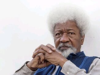 Trump Verdict:Wole Soyinka says, "I May Choose To Apply For Restoration Of My Card Of Permanent Residence"