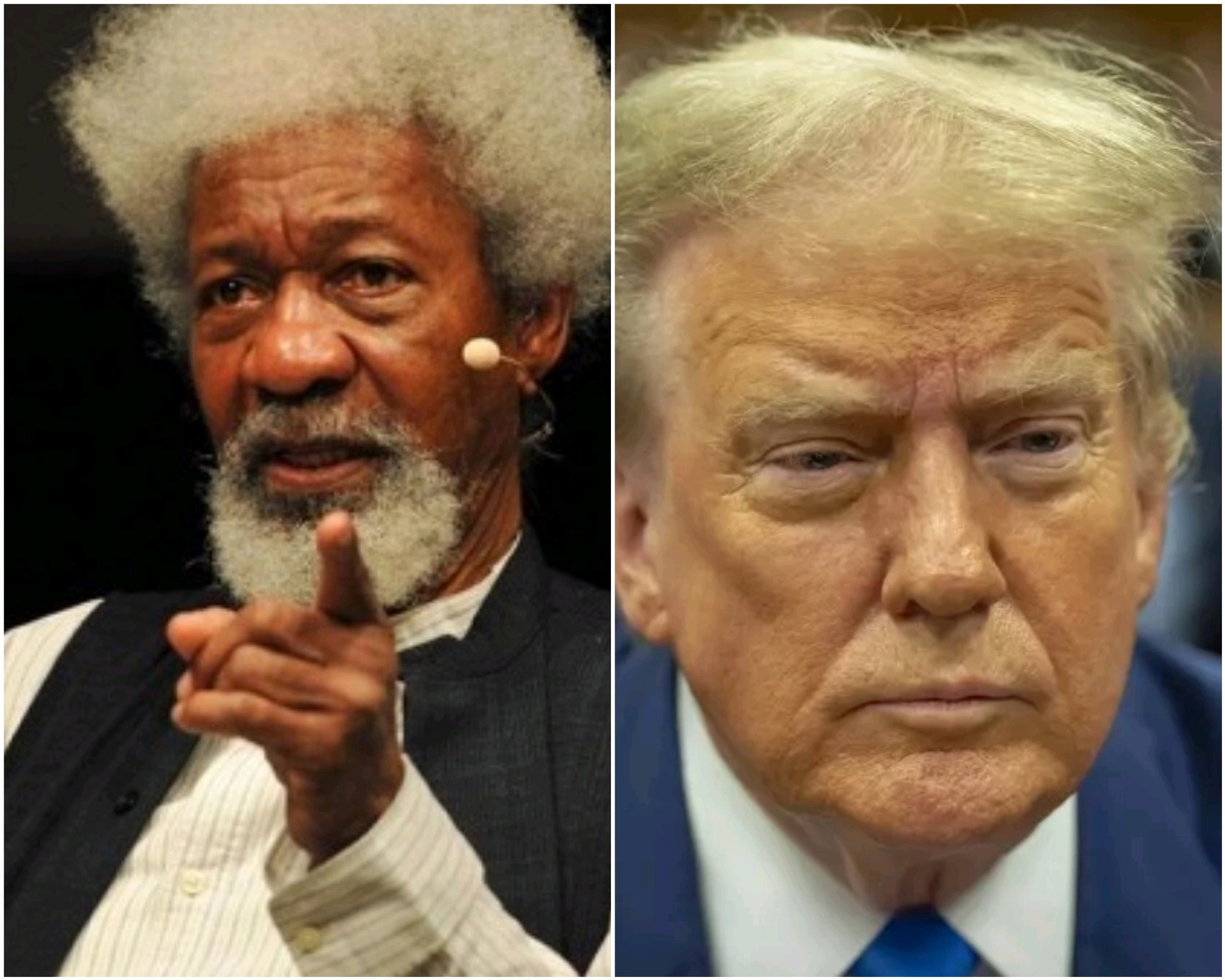 Trump Conviction: Soyinka Is Thinking About Relocating Permanently to the US Since 2016