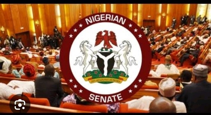 Nigerians Reacts After NLC Shows The Break-Down of Nigeria's Senators Earning Monthly