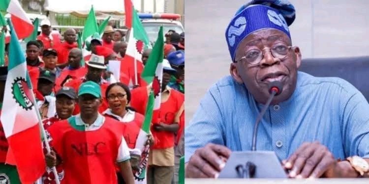 Mixed Reactions Outrage as Labour Signs Document Agreeing to Minimum Wage Higher Than ₦60,000