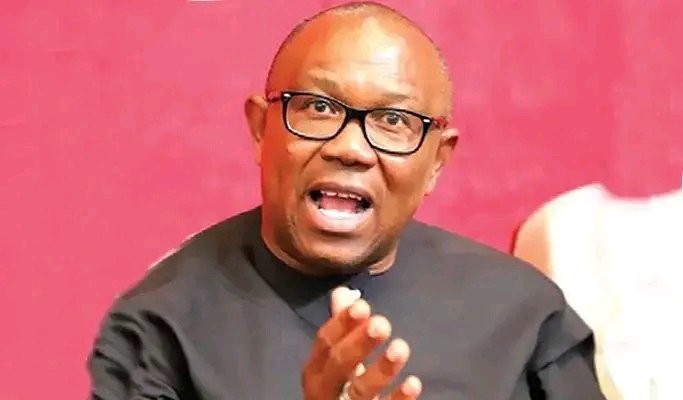 I was glad to see people like Obasanjo, Pa Ayo Adebanjo, and others stand their ground — According to Peter Obi