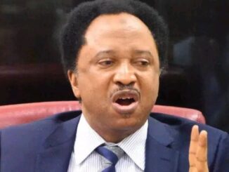 After SGF, George Akume Said He Can't Afford To Pay His Drivers N100k As Salary, Shehu Sani Reacts