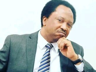 The killing of our security agents only gets louder when it happens in the South East - According to Shehu Sani