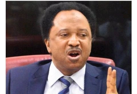 SGF Akume: If He Says He Can't Afford To Pay His Drivers A 100k, What Is Wrong With That?-According to Shehu Sani