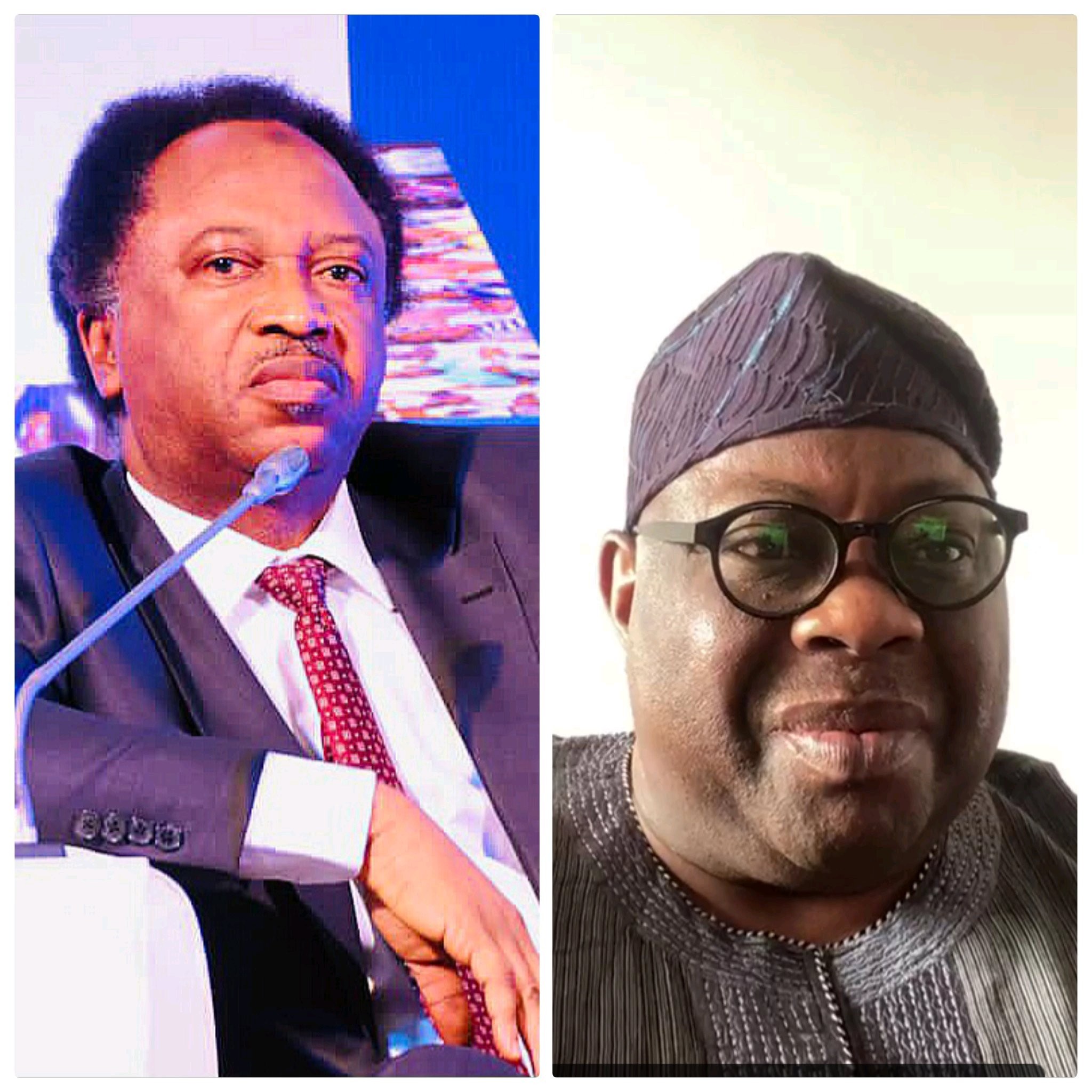 After Shehu Sani asked Northern politicians to allow Tinubu to finish 8 Years, Dele Momodu reacts